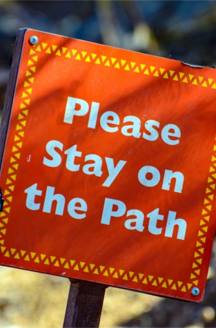 stayonpath workshops bringen dein yoga auf ein neues level